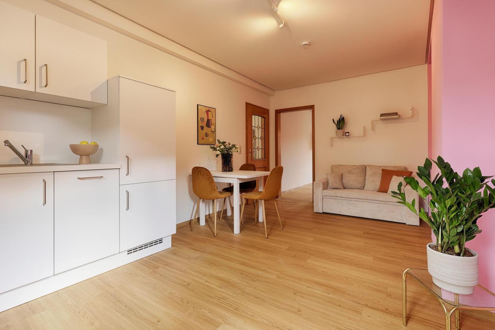Homie Stay Badgasse - Fewos Am Main Mit Dachterrasse & Fahrradgarage Ochsenfurt Ngoại thất bức ảnh